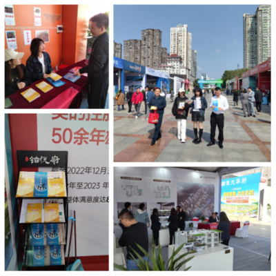 園區(qū)公積金助力岳陽惠民房交會(huì)，提供專業(yè)房地產(chǎn)咨詢服務(wù)