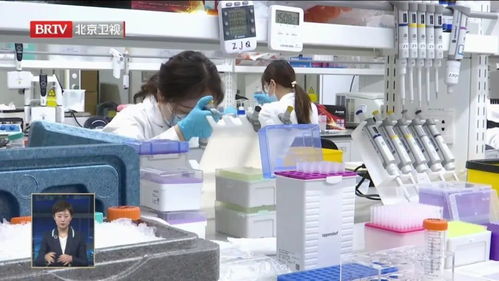 中國生物科技從0到1的突破 生物化工產(chǎn)品技術(shù)研發(fā)的基石與未來
